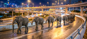 Nachts auf der Autobahn um halb Drei